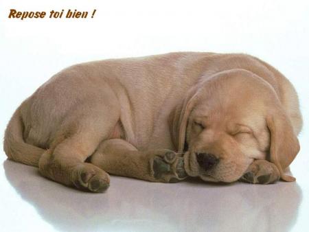 Repose toi bien !